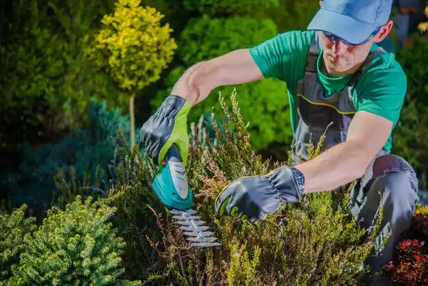 landscaping services Herricks